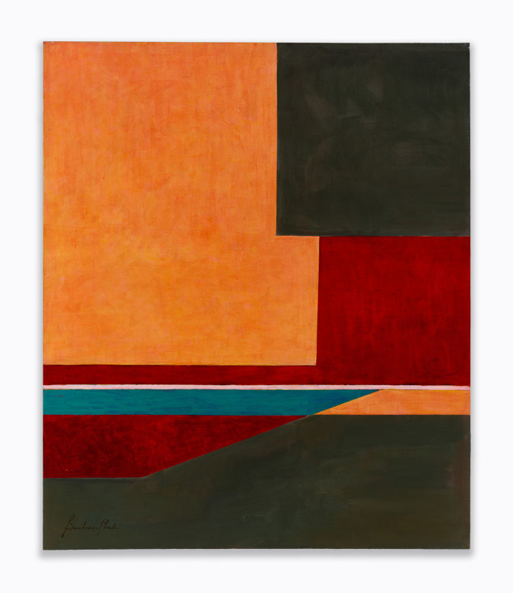 Untitled,&nbsp;2011, Acrylic on canvas