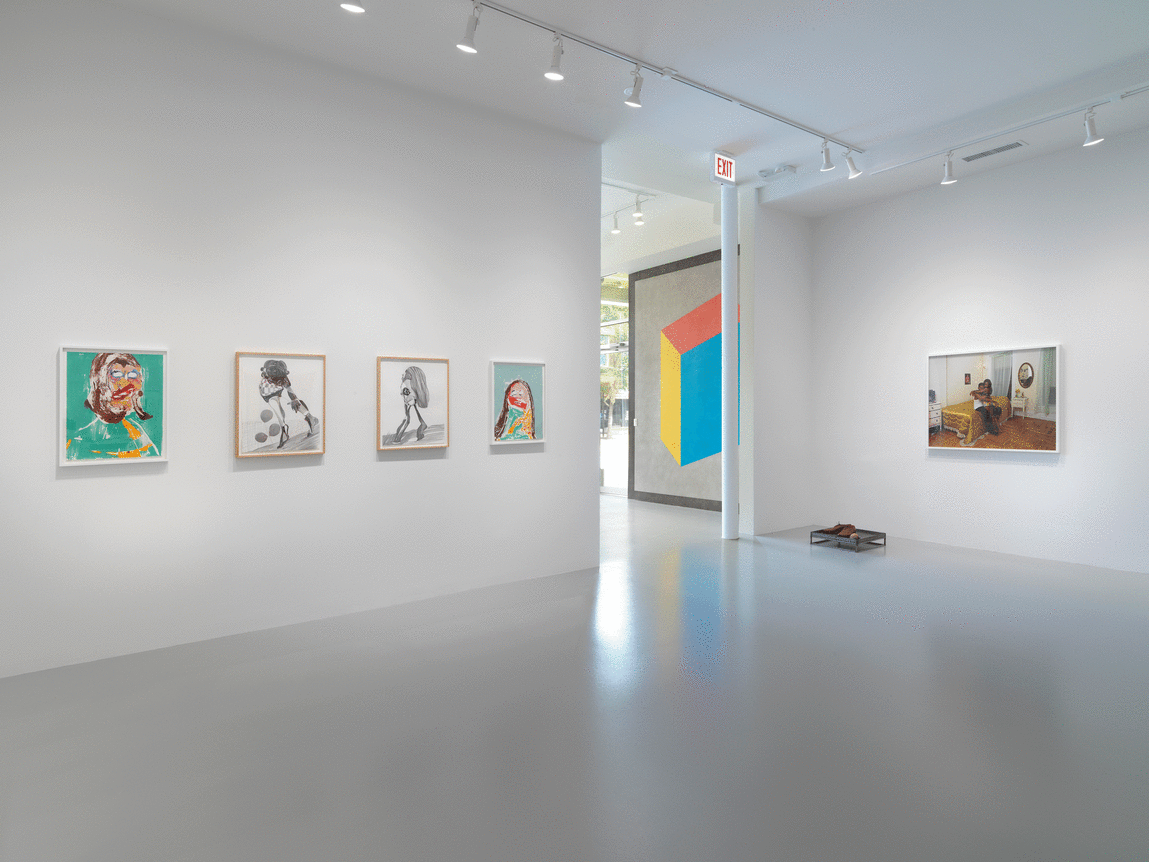 Installation view at Rhona Hoffman Gallery/Embodied Politic/Curated by Anastasia Karpova Tinari/2018