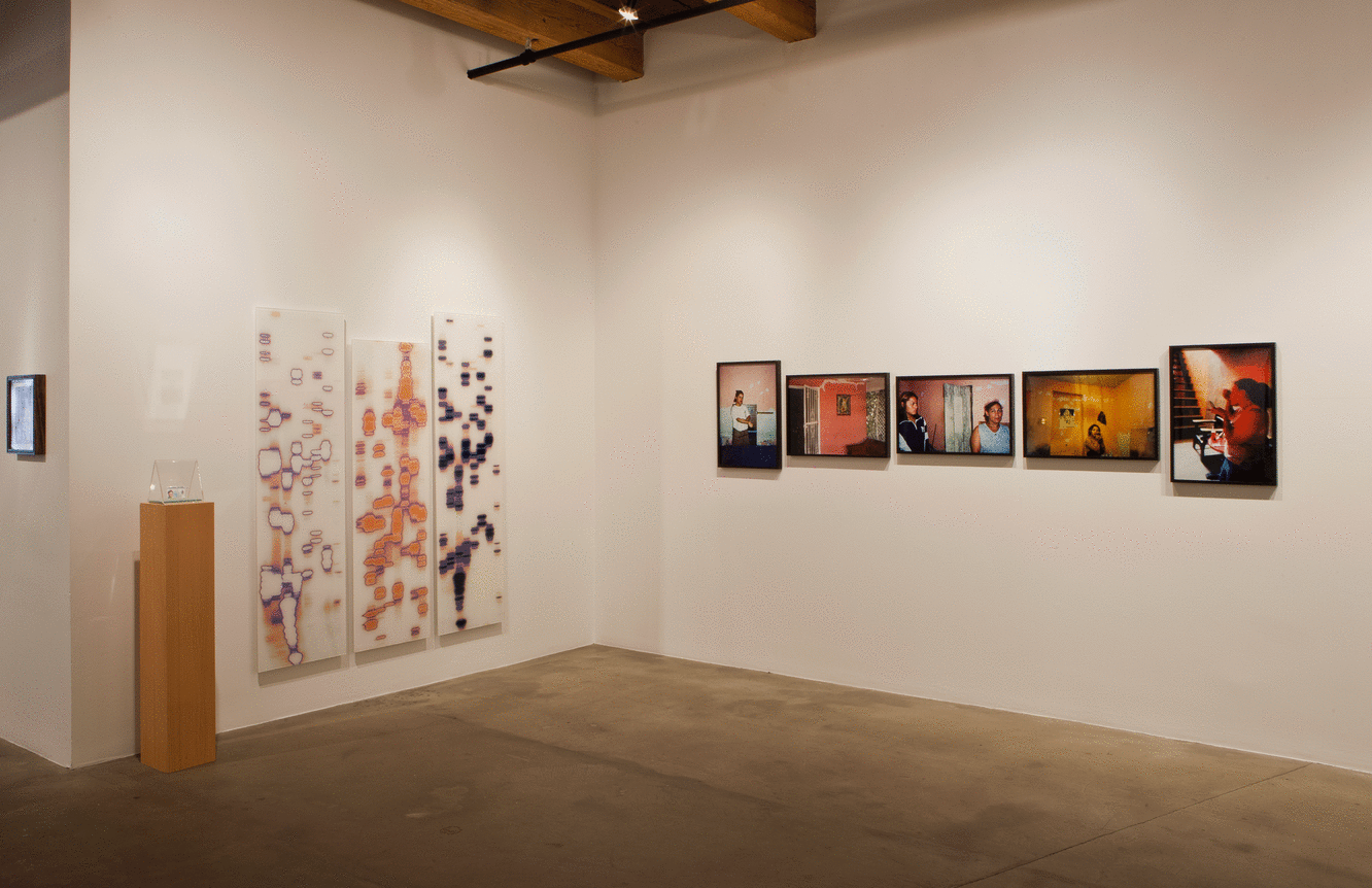 Installation view at Rhona Hoffman Gallery/40 Years Part 2/Gender, Race, Identity/2016