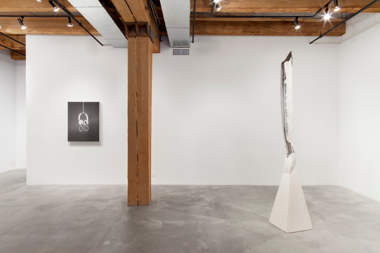 Installation view at Rhona Hoffman Gallery, Luis Gispert, Pin Pan Pun, 2012, Photo: David Elliott