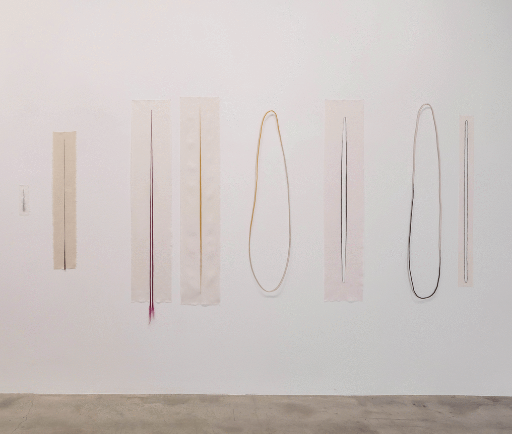 Installation view at Rhona Hoffman Gallery/Anne Wilson/a hand well trained/2017