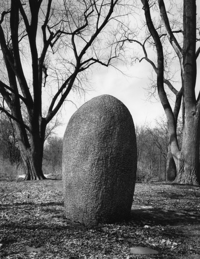 Jene Highstein, Floating World, Lake Forest, Illinois.