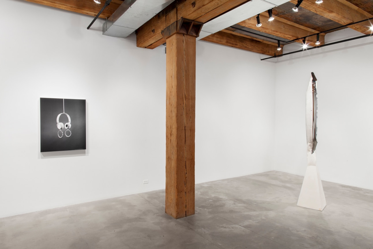 Installation view at Rhona Hoffman Gallery, Luis Gispert, Pin Pan Pun, 2012, Photo: David Elliott