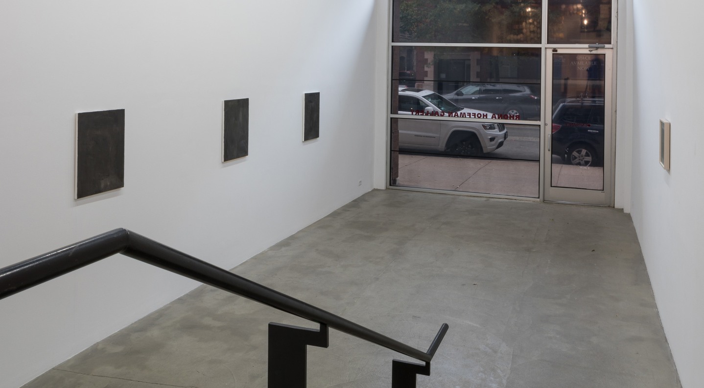 Installation view at Rhona Hoffman Gallery/David Schutter/Night Work/2017