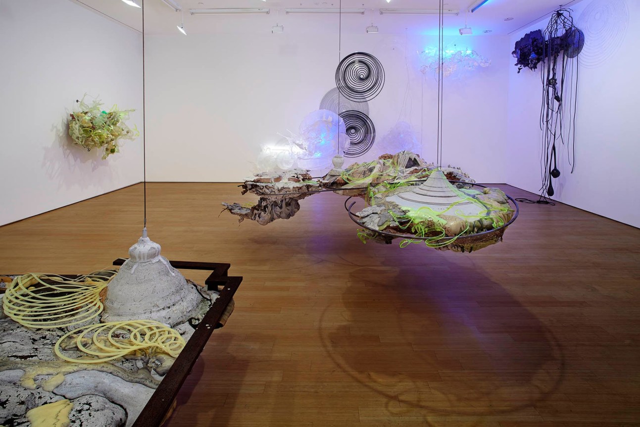 Judy Pfaff: Run Amok