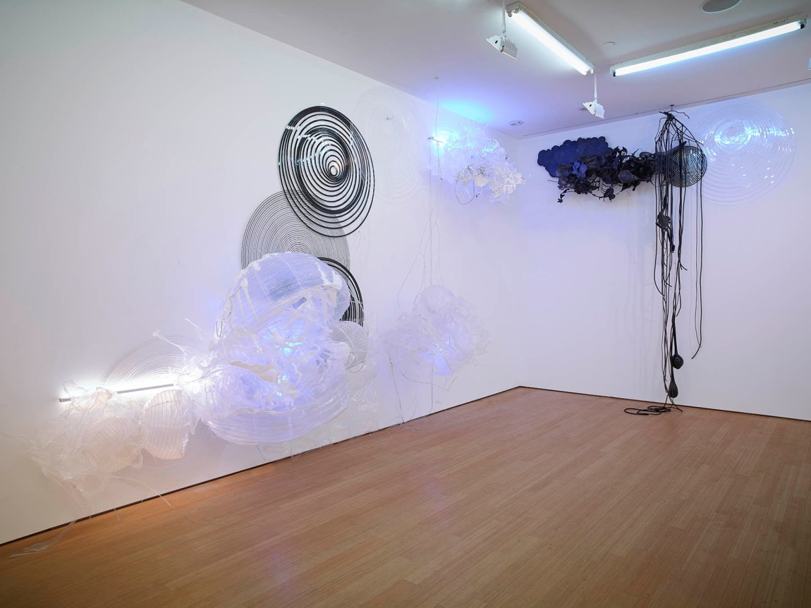 Judy Pfaff: Run Amok