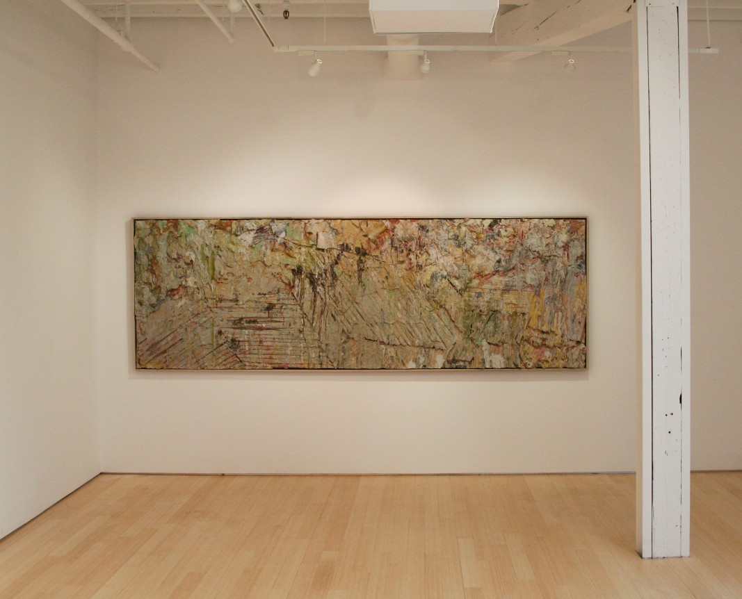 Larry Poons, Radical Surface, 1985-1989