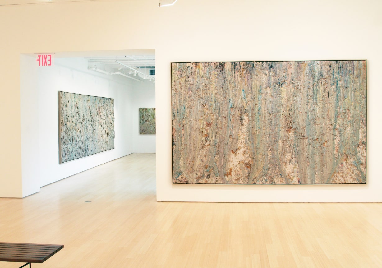 Larry Poons, Radical Surface, 1985-1989
