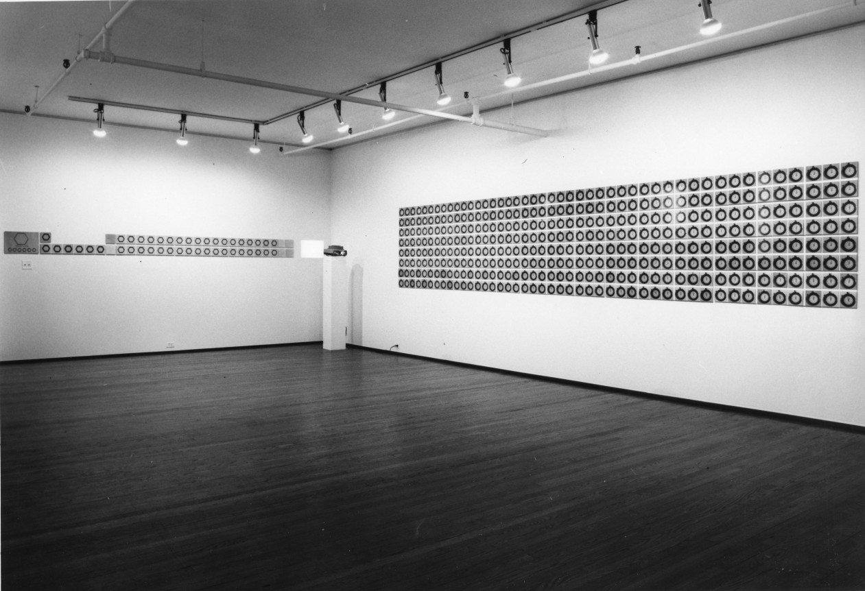 Installation view, Laura Grisi, 420 WEST BROADWAY