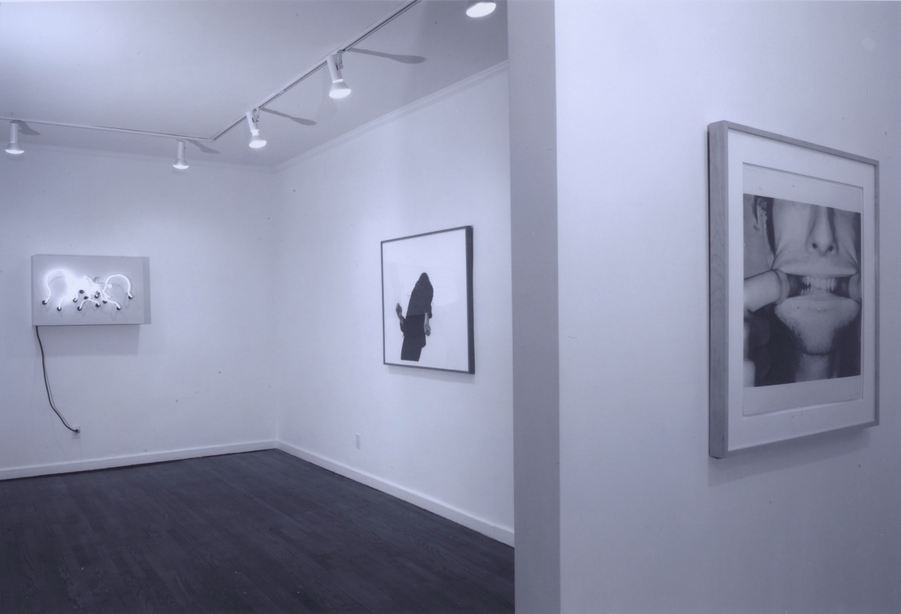 Installation view, The Mediated Gesture, 18 EAST 77