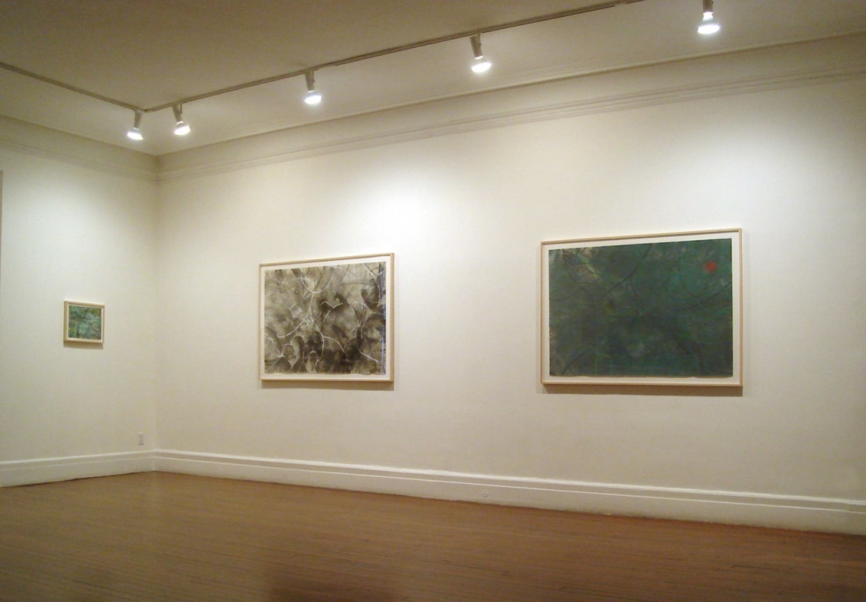 Installation view, Emi Fukuzawa: Landscape Transcended, 18 EAST 77