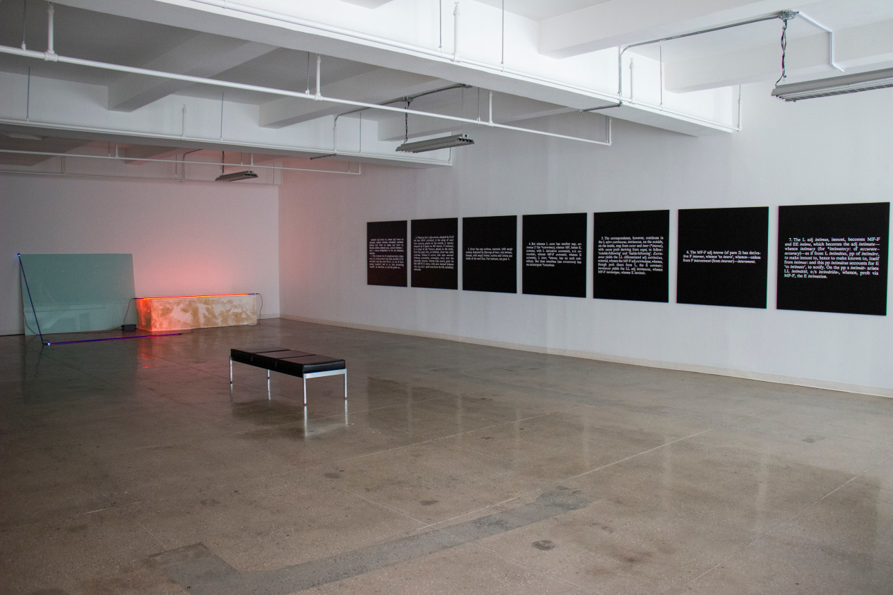 Joseph Kosuth / Keith Sonnier - - Exhibitions - Castelli Gallery