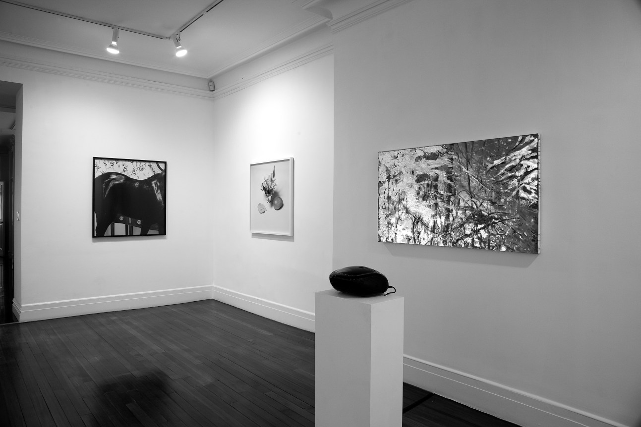 Summer Group Show - Shoja Azari And Shahram Karimi, Diana Kingsley ...