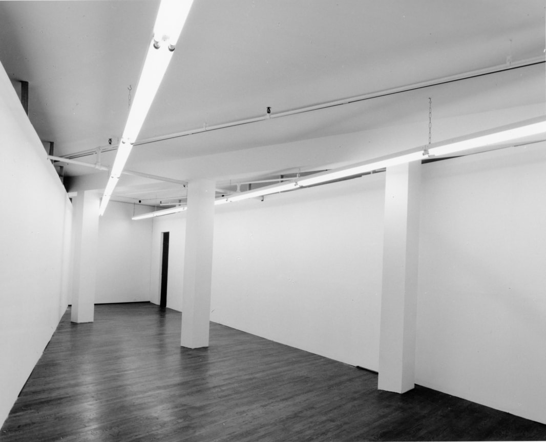 Bruce Nauman Exhibitions Castelli Gallery