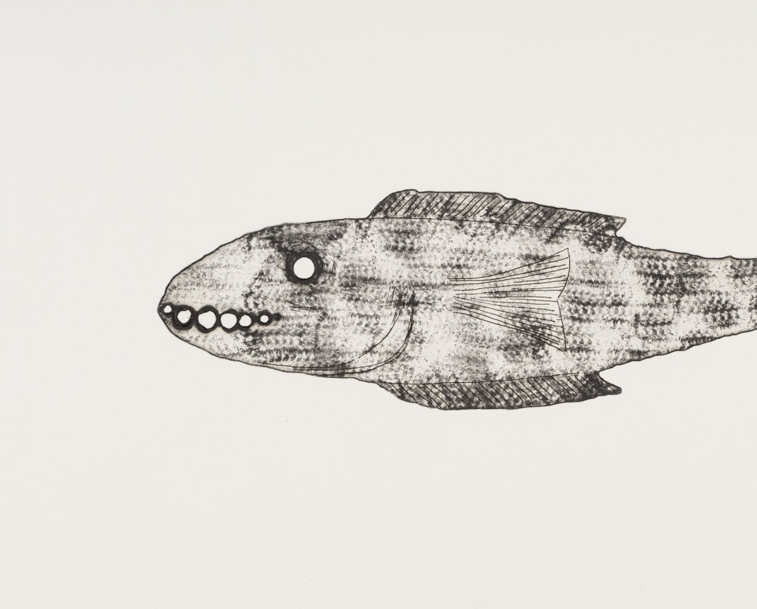 Peter Johansson, detail&nbsp;Fisk, 2008