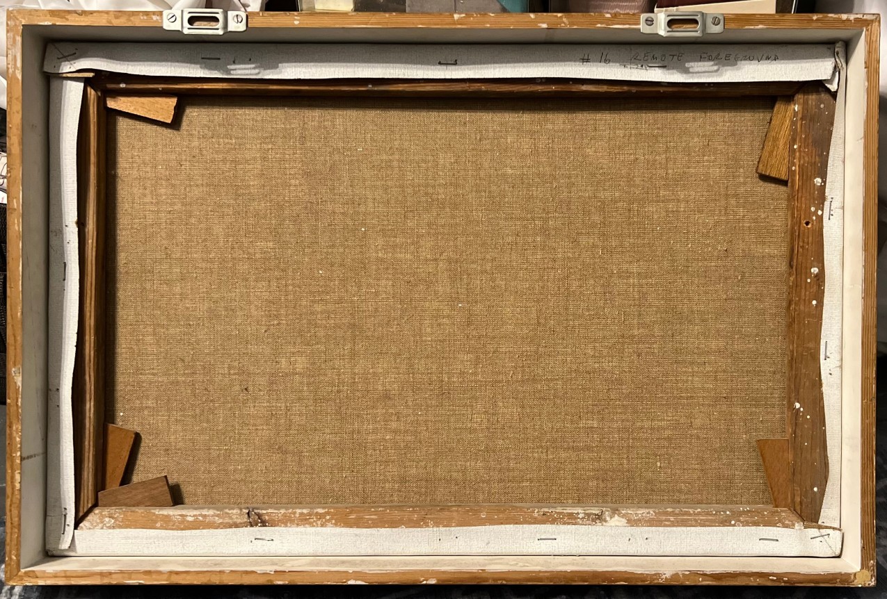 Matthew Spender, #16 Remote Foreground, 1981