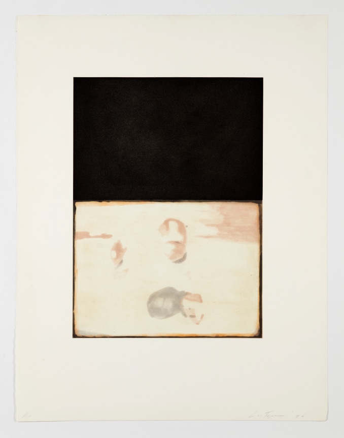 Luc Tuymans The Temple, 1996