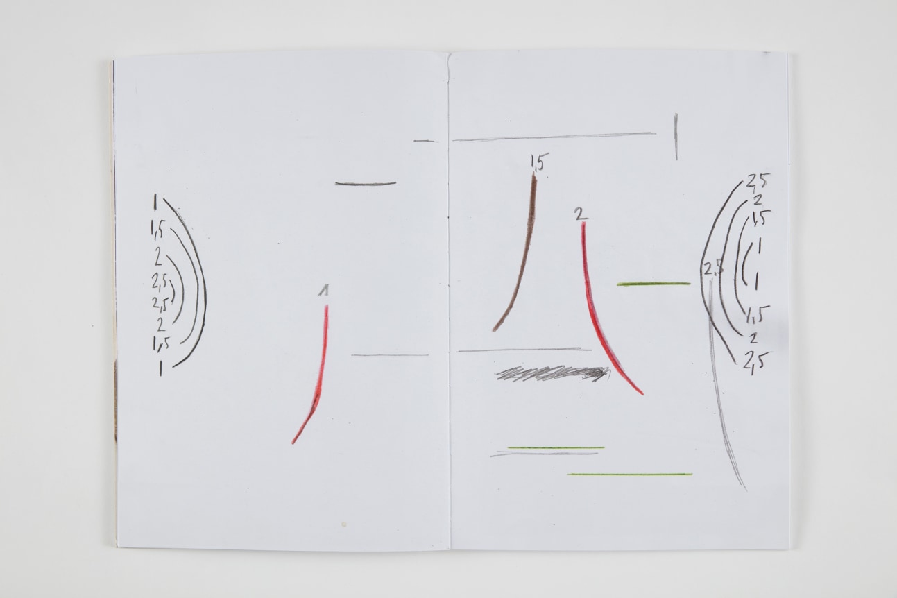 Esther Kl&auml;s,&nbsp;Palomar, 2013