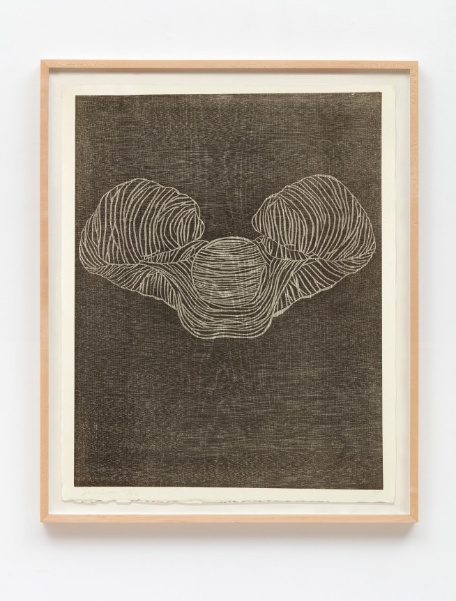 Terry Winters, Furrows, 1989