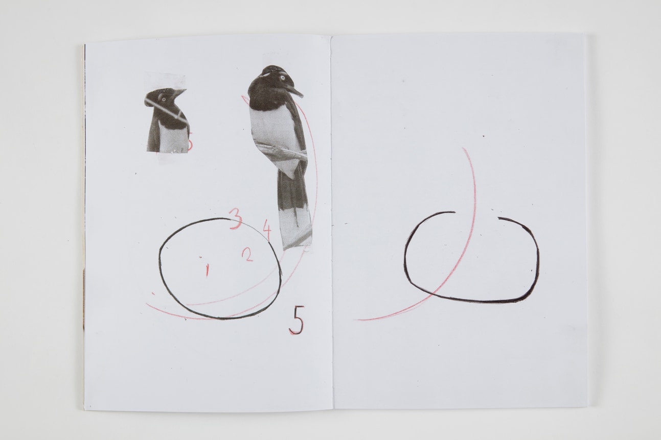 Esther Kl&auml;s,&nbsp;Palomar, 2013