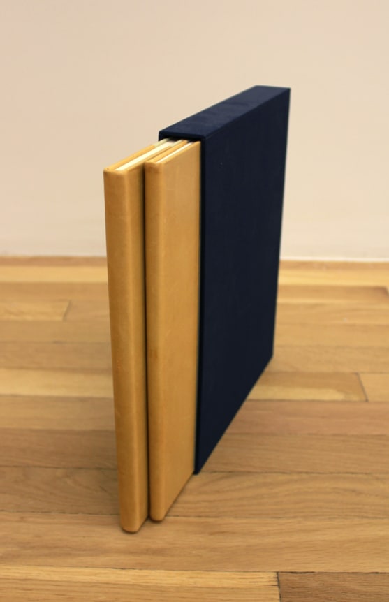 Special edition available limited to 100 copies, with ten original etchings by Louise Bourgeois, which is signed by author and artist. Hardbound in leather and cloth with cloth slipcase.