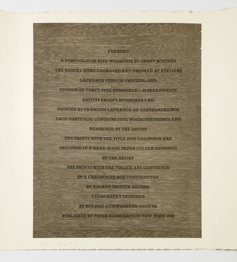 Terry Winters, Furrows, 1989