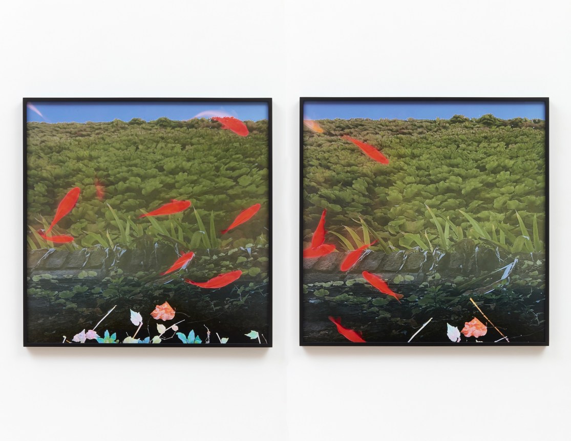Su-Mei Tse, Gaze into deep, 2022