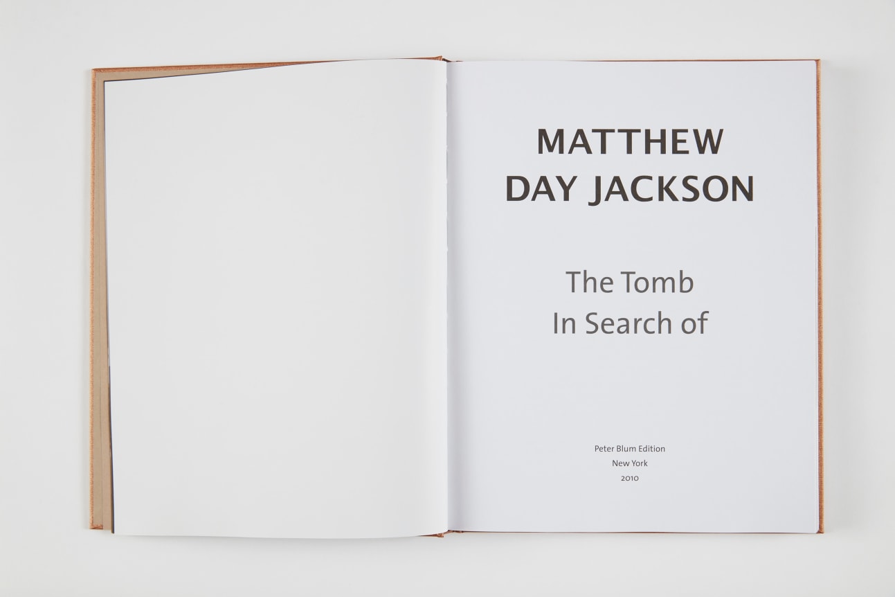 Matthew Day Jackson:The Tomb, In Search of, 2011,  