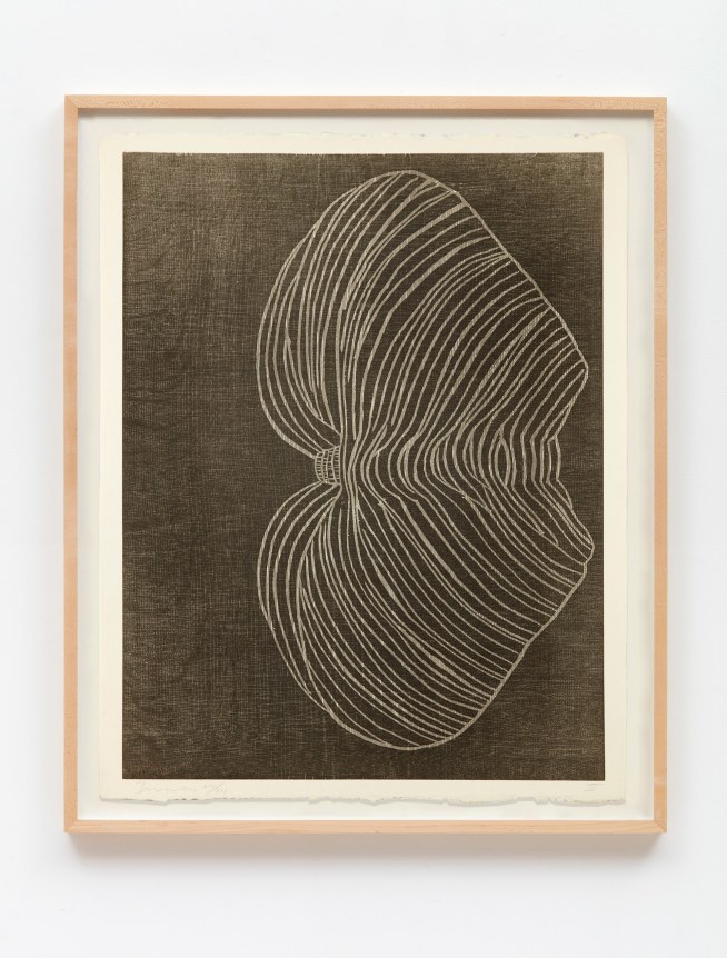 Terry Winters, Furrows, 1989