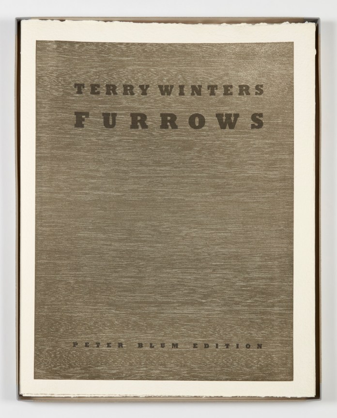 Terry Winters, Furrows, 1989