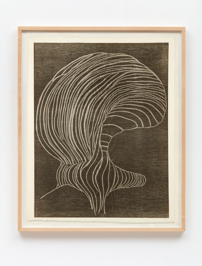 Terry Winters, Furrows, 1989