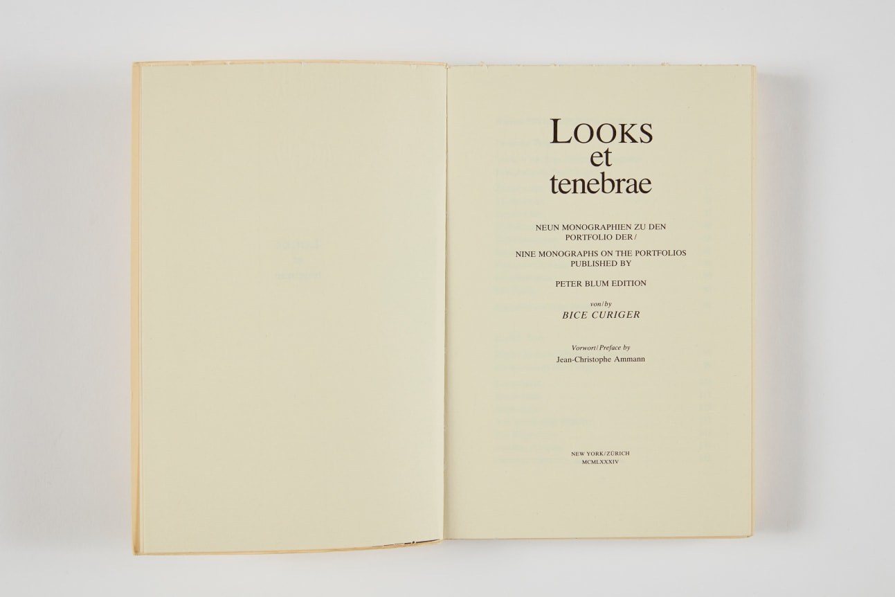 Bice Curiger, Looks et Tenebrae, 1984