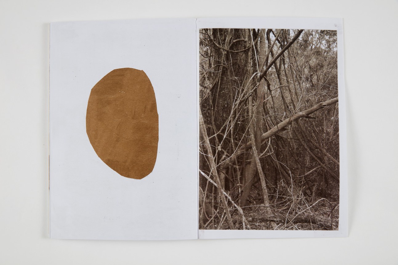 Esther Kl&auml;s,&nbsp;Palomar, 2013