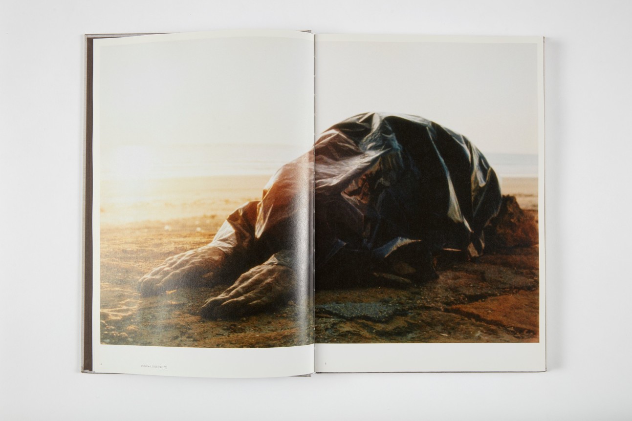 Huma Bhabha,&nbsp;Huma Bhabha,&nbsp;2010