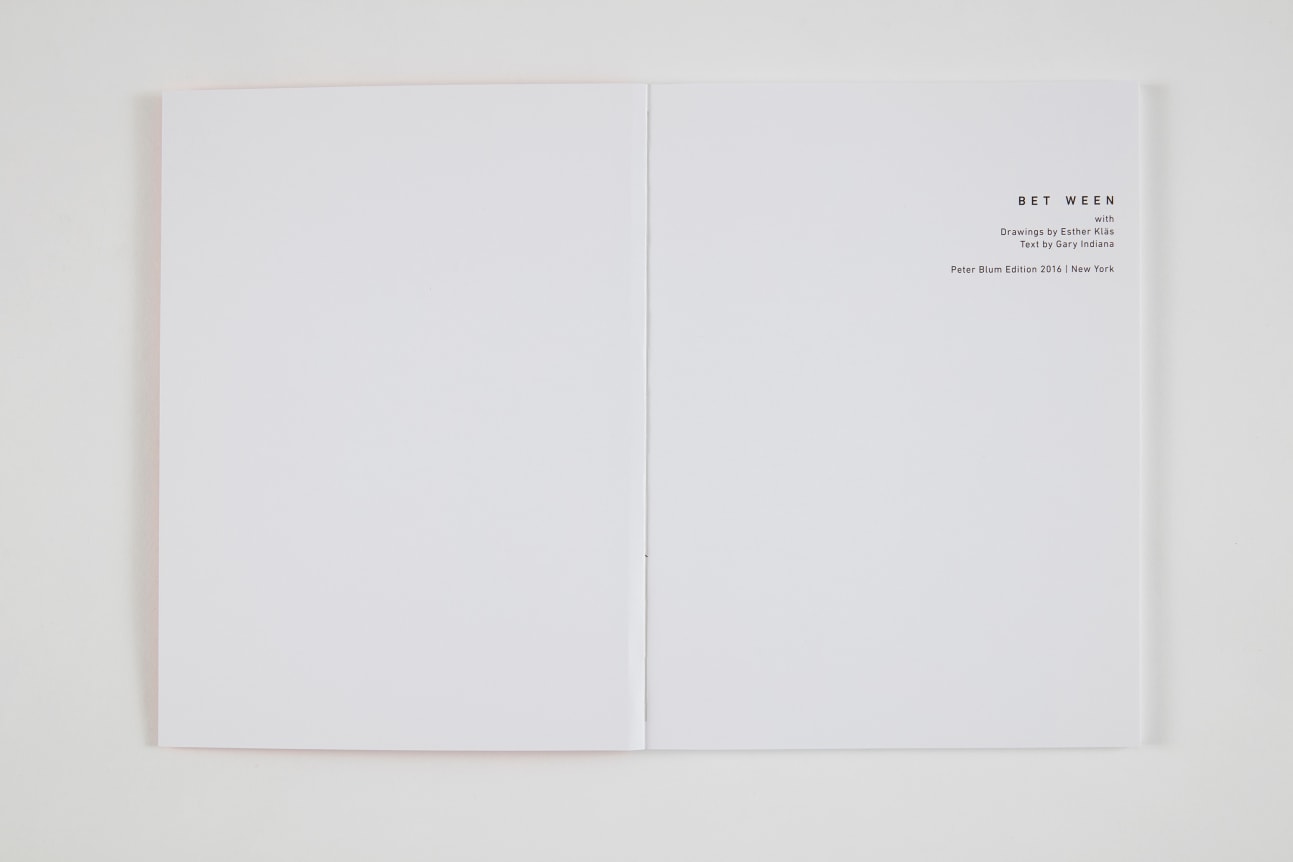 Esther Kläs, BET WEEN, 2016,  