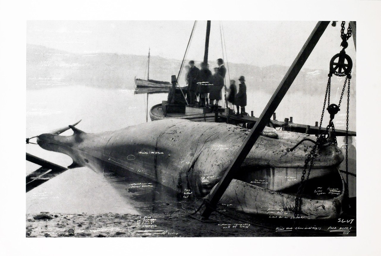 Story of Minke the Whale from: The Russian Ending