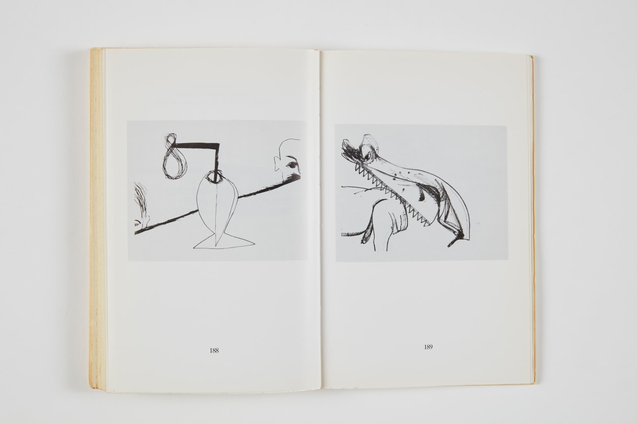 Bice Curiger, Looks et Tenebrae, 1984