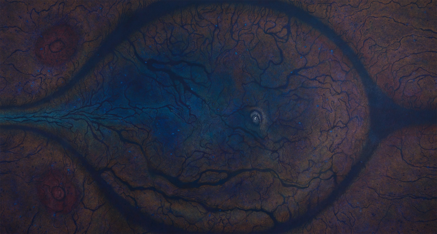 Birth, 2017 colored pencil, acrylic on canvas