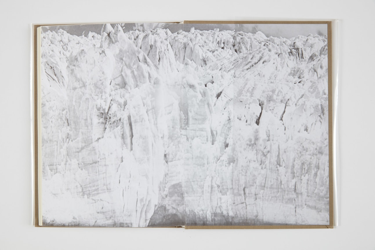 Helmut Federle, The Ferner Paintings, 2013