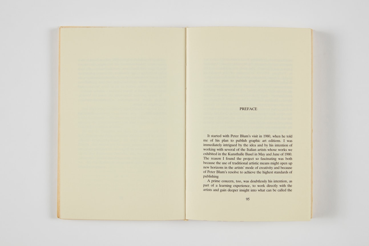 Bice Curiger, Looks et Tenebrae, 1984