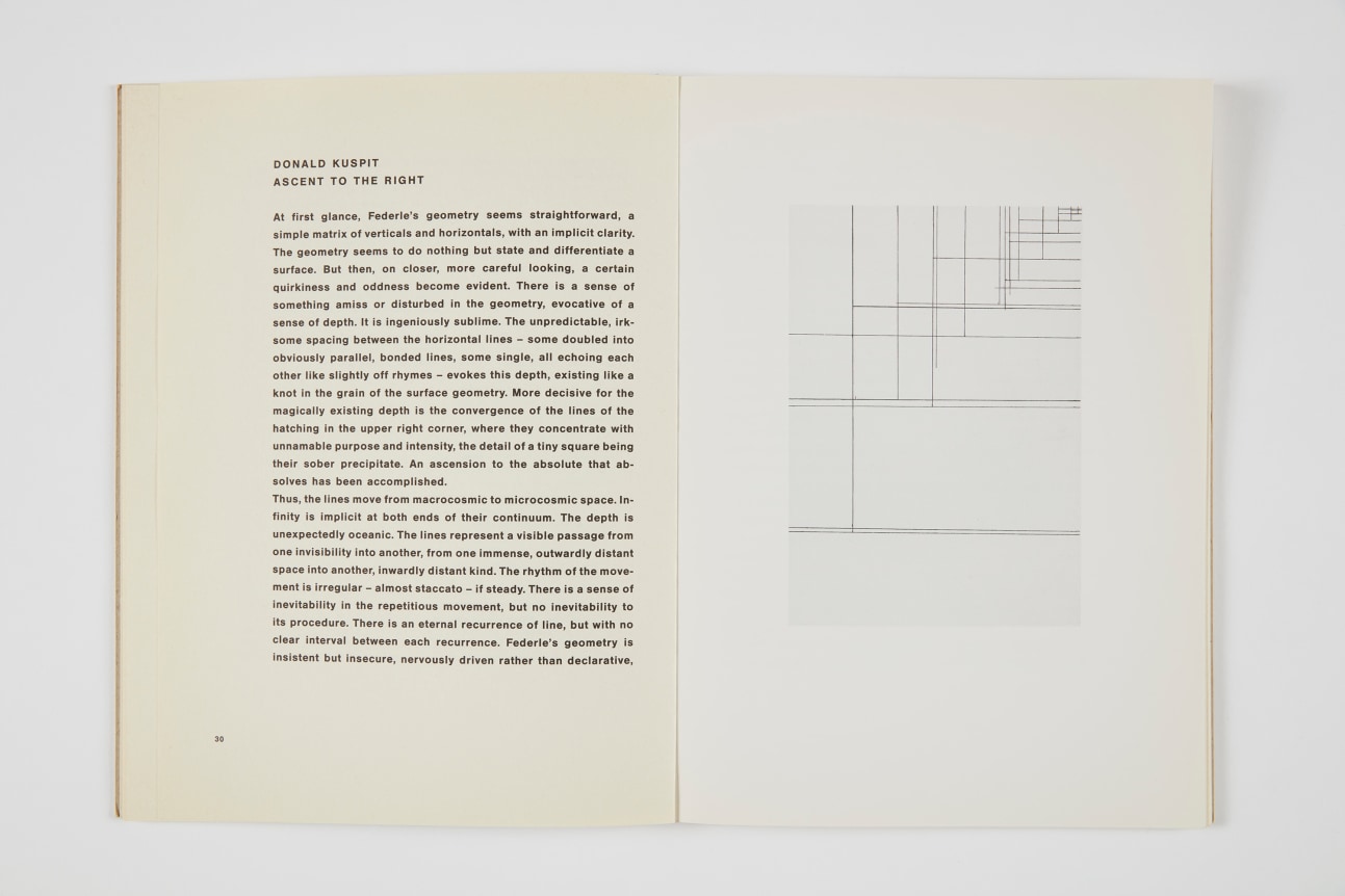 Helmut Federle, 5 + 1,1990