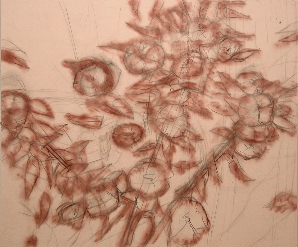 Cherry Blossoms, 1995