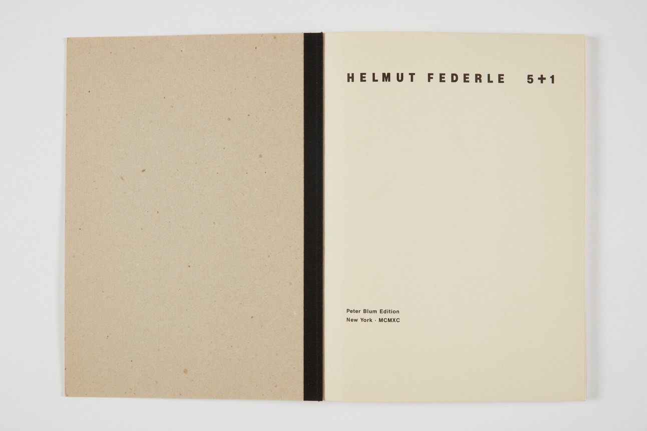 Helmut Federle, 5 + 1,1990