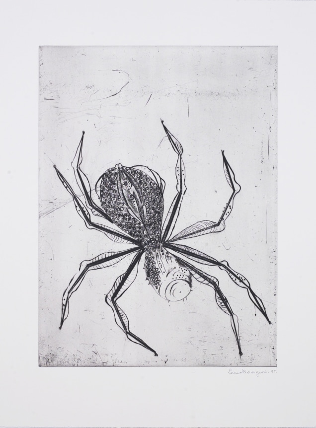 Spider drypoint 21 x 15 7/8 inches (54 x 40.3 cm)