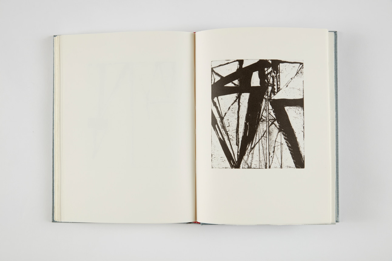 Brice Marden