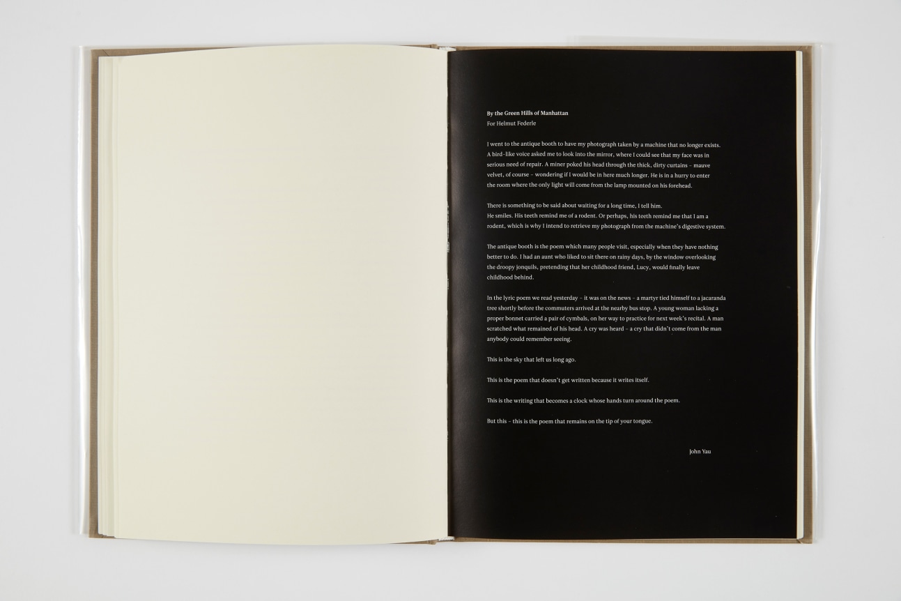 Helmut Federle, The Ferner Paintings, 2013