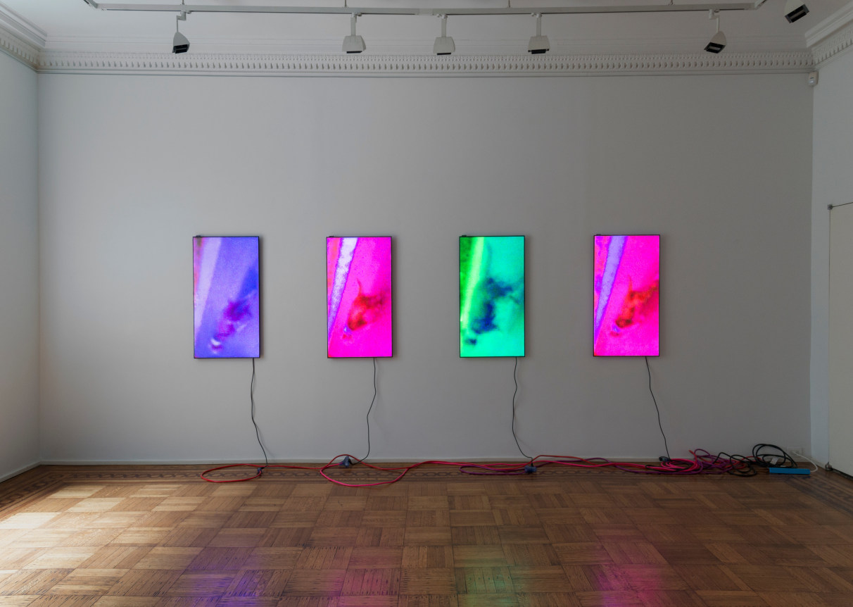 Luca Dellaverson: MYSTIC STYLEZ Installation View
