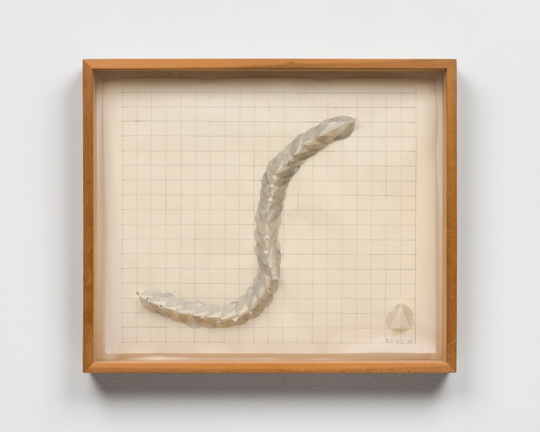 This is an image of a work on paper made by Ruth Vollmer in 1978 titled: Snake.