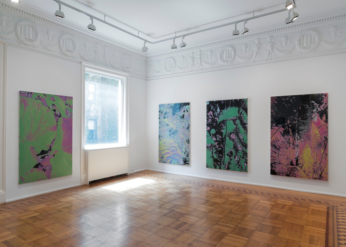 Luca Dellaverson: MYSTIC STYLEZ Installation View