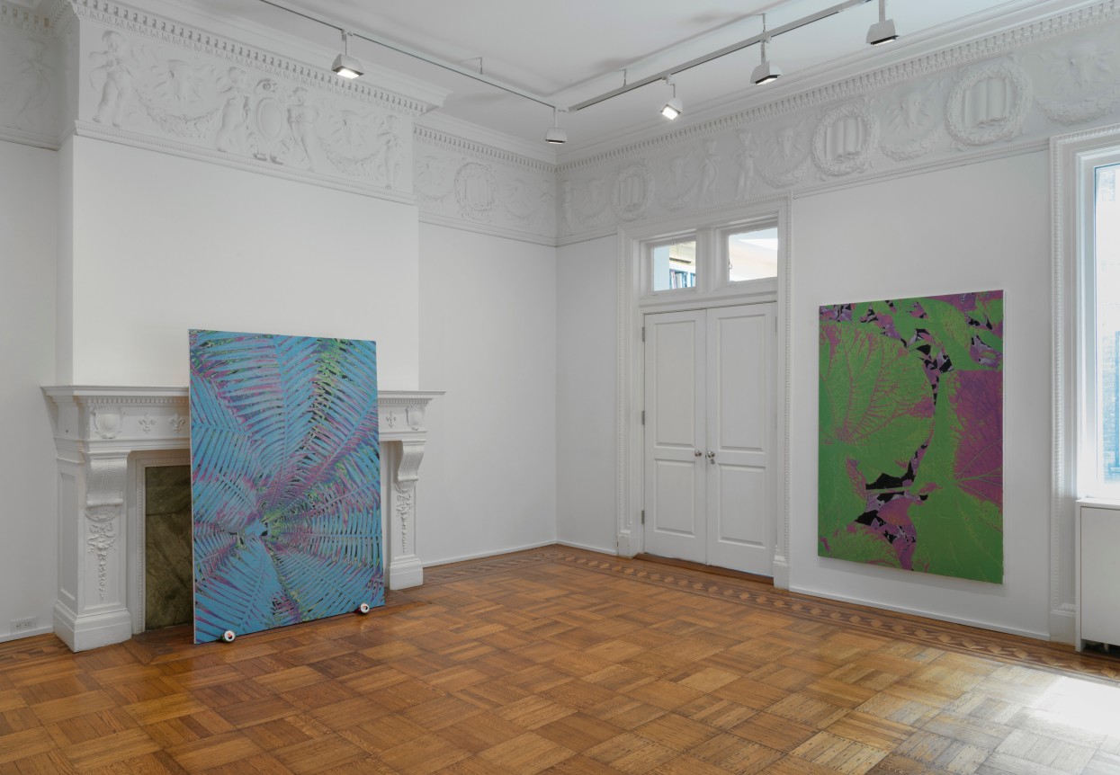 Luca Dellaverson: MYSTIC STYLEZ Installation View